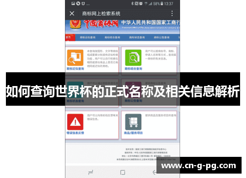 如何查询世界杯的正式名称及相关信息解析