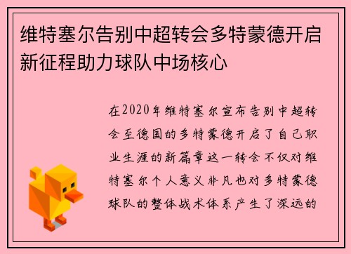 维特塞尔告别中超转会多特蒙德开启新征程助力球队中场核心 维特塞尔告别中超转会多特蒙德开启新征程助力球队中场核心