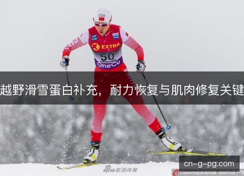 越野滑雪蛋白补充，耐力恢复与肌肉修复关键